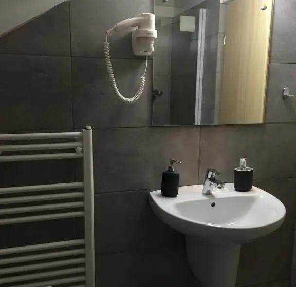 スタンダードシングルルーム, Net Hotel Pitesti