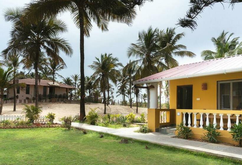 اتاق استاندارد, C Roque Beach Resort