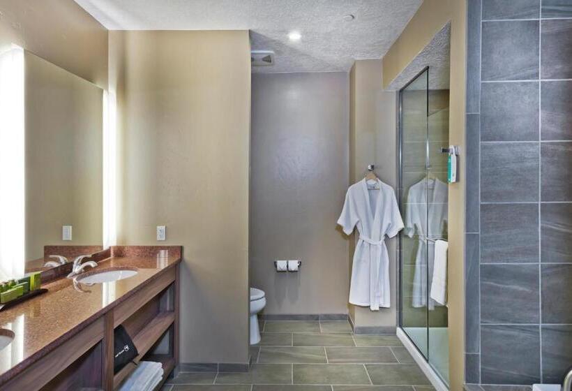 جناح ديلوكس سرير كينج, Shoshone Rose Casino &