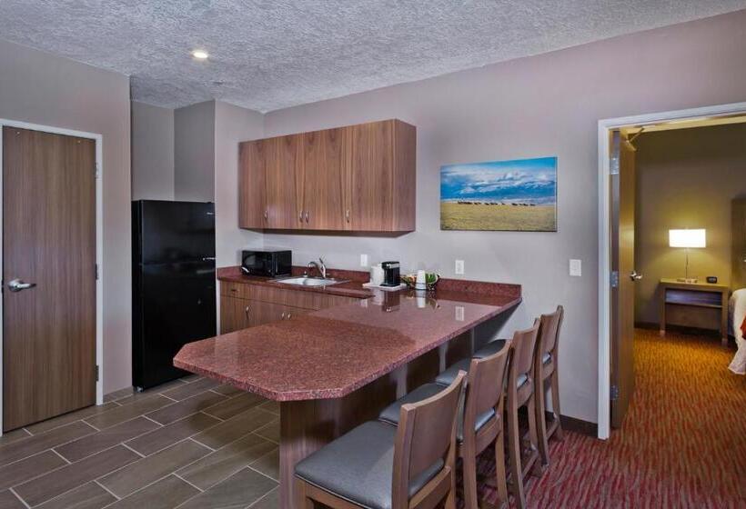 غرفة قياسية سرير كينج لذوى الإحتياجات الخاصة, Shoshone Rose Casino &