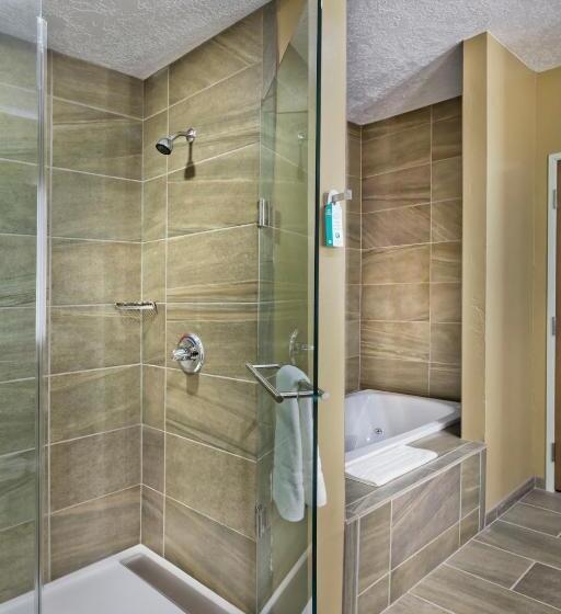 غرفة ديلوكس, Shoshone Rose Casino &