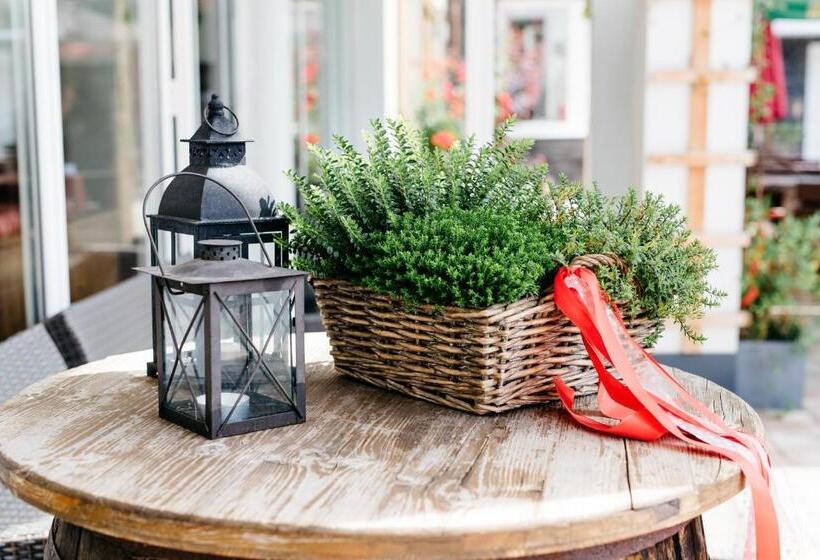 דירת שני חדרים, Landhotel Berger