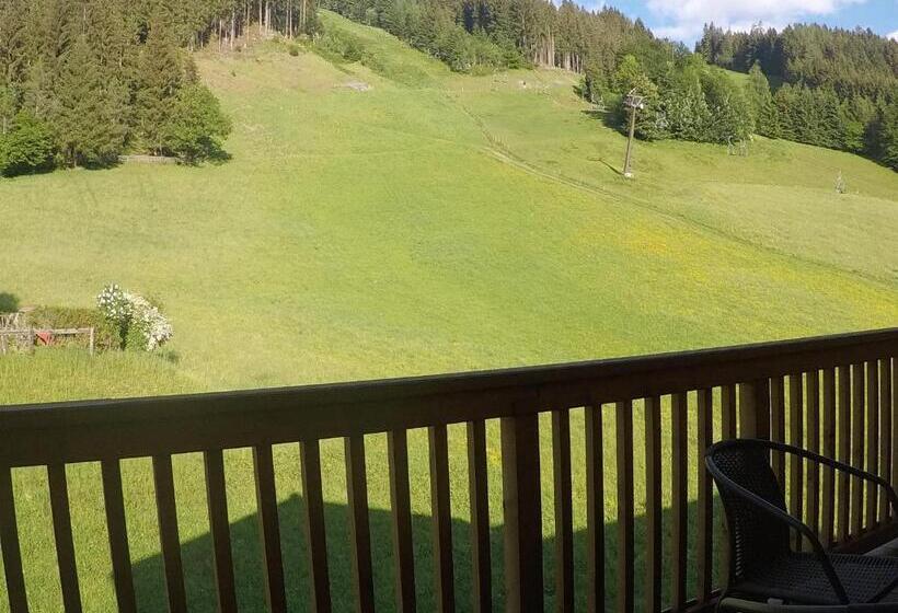 דירה בת חדר שינה 1 עם נוף, Landhotel Berger