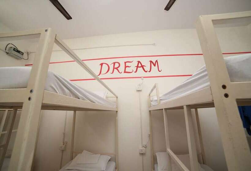 共用房间的床, Roadhouse Hostel Varanasi