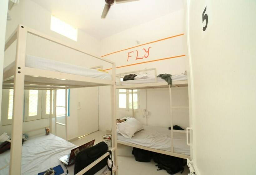 共用房间的床, Roadhouse Hostel Varanasi