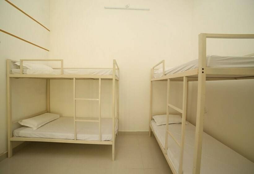 共用房间的床, Roadhouse Hostel Varanasi