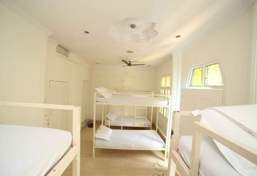 共用房间的床, Roadhouse Hostel Varanasi