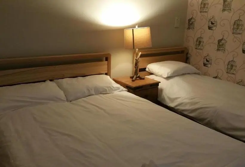 エコノミールーム, Maindee Guest House