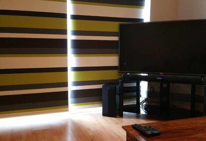 이코노미 싱글 룸, Maindee Guest House