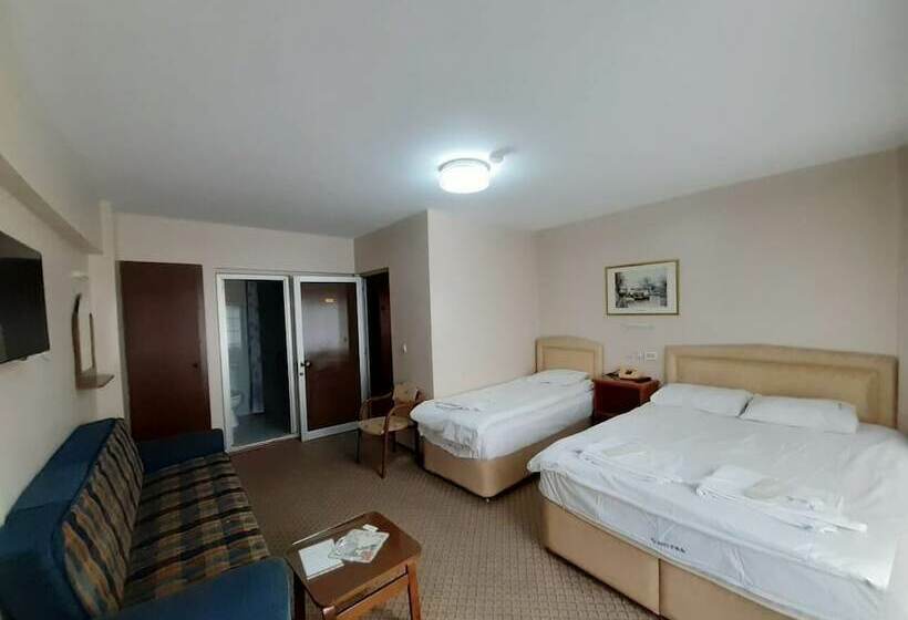 اتاق استاندارد سه نفره, Cesmeli