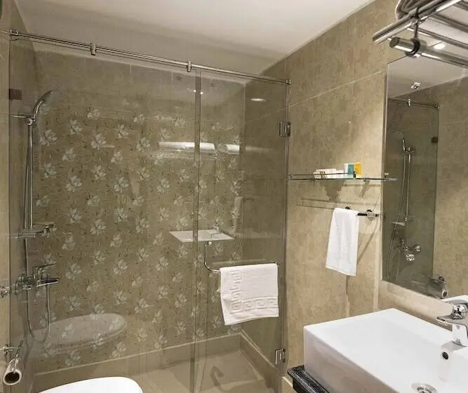 エクゼクティブルーム, Regenta Inn Larica