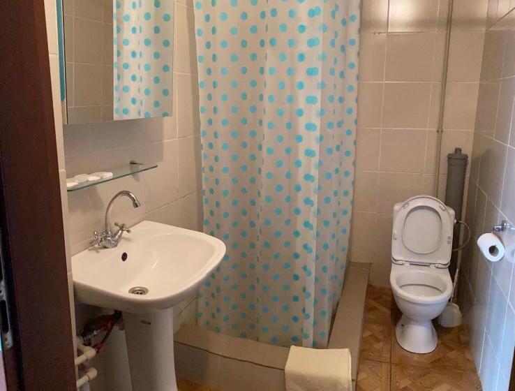 اتاق استاندارد چهار تخته, Zelenyi Kampus