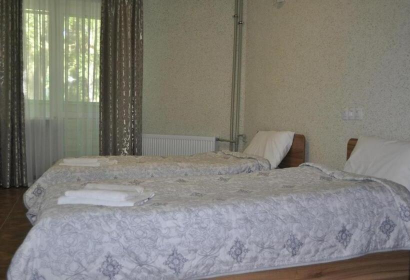 اتاق استاندارد با بالکن, Zelenyi Kampus