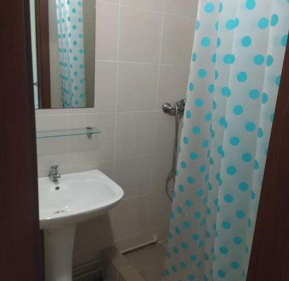 اتاق خانوادگی, Zelenyi Kampus