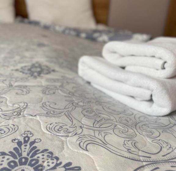 اتاق استاندارد چهار تخته, Zelenyi Kampus