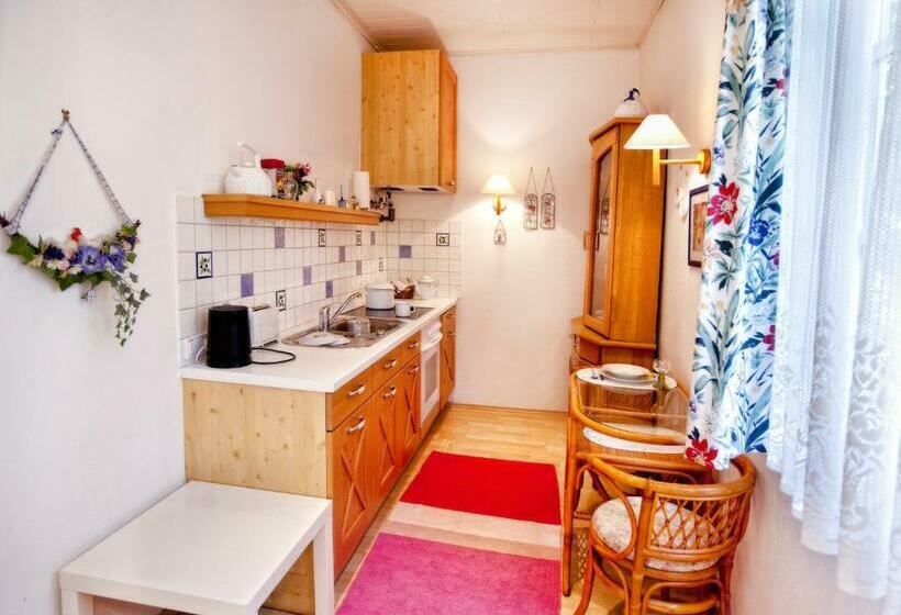 １ベッドルームアパートメント, Pension Margit