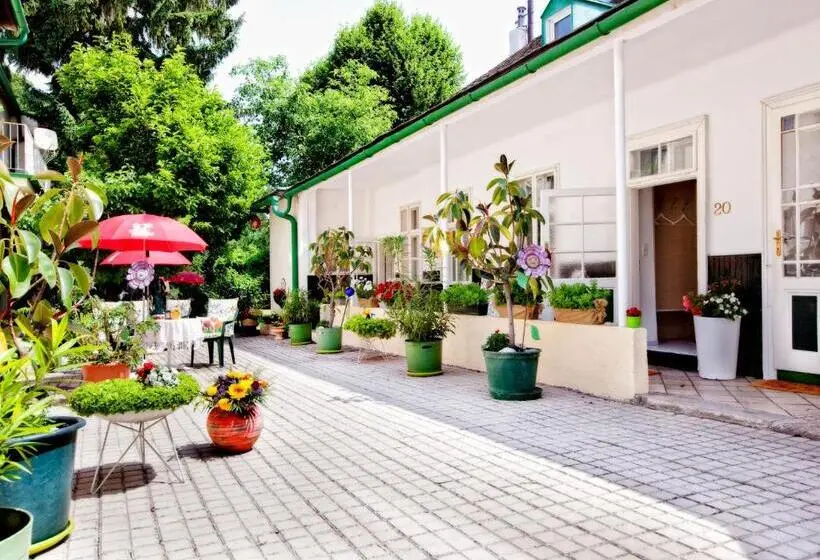 スタンダードシングルルーム, Pension Margit