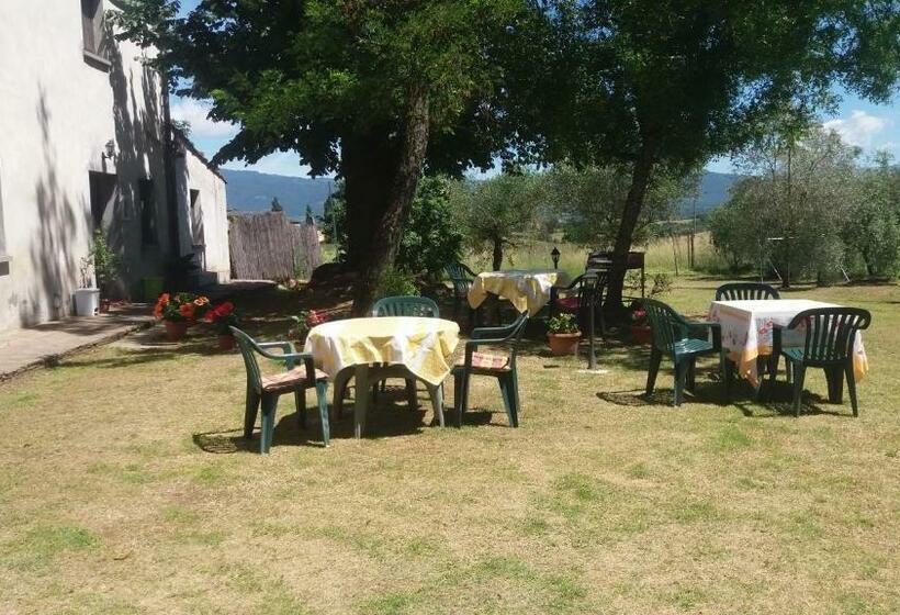 スタンダードルーム, Azzurre Beb