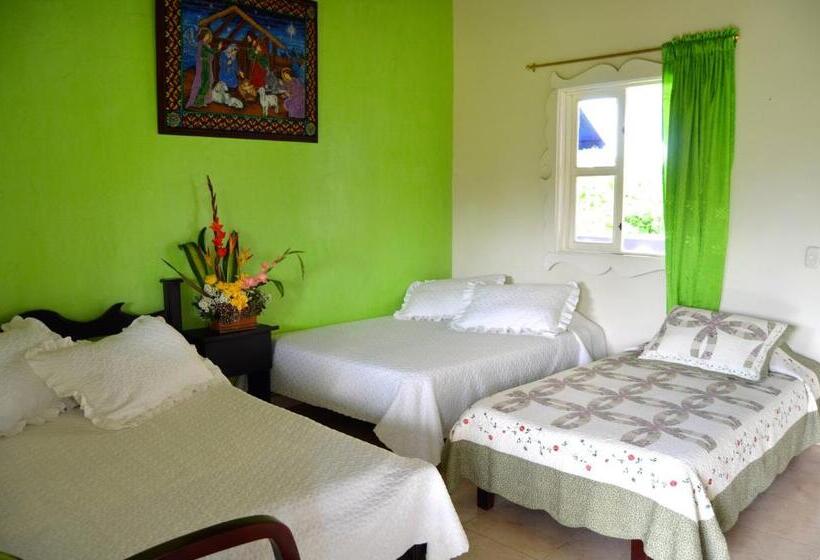 اتاق خانوادگی, Finca Azulinas