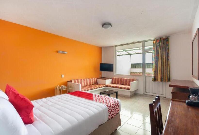 高级大房间, OYO Casa Blanca