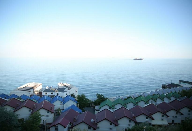 آپارتمان 1 خوابه, Kolyada