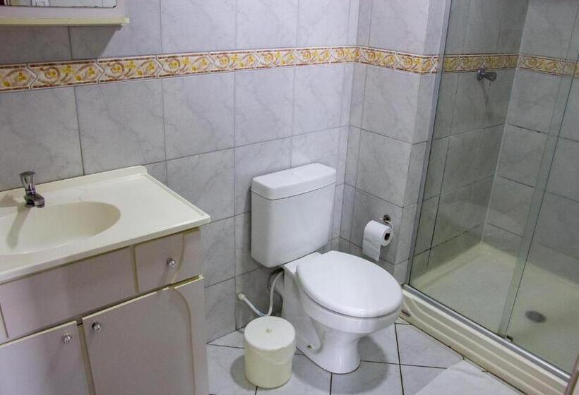 デラックスルーム, Villa Souza Ltda