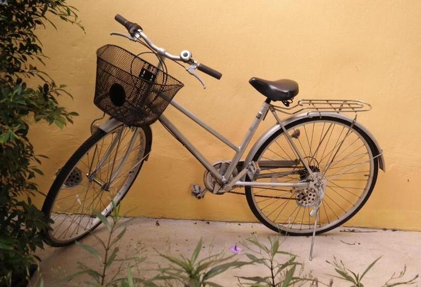 ガーデンビューの３ベッドルームビラ, Jardin De Mangue Pakchong