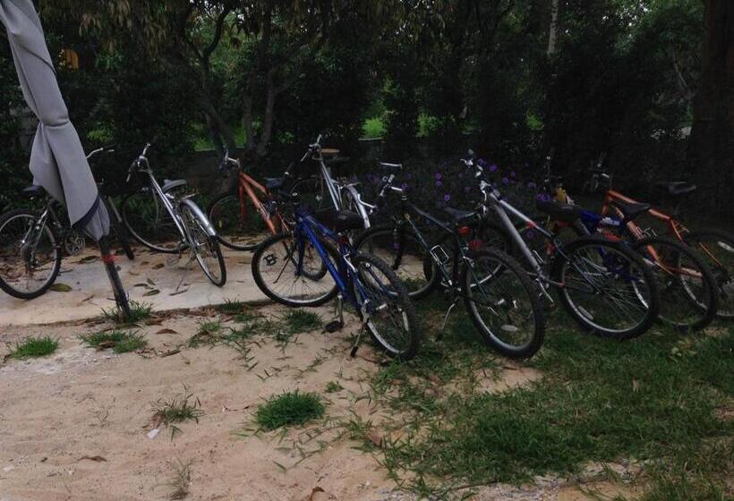 ファミリールーム, Jardin De Mangue Pakchong