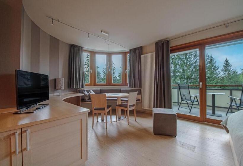 高级大房间, Josef Mountain Resort