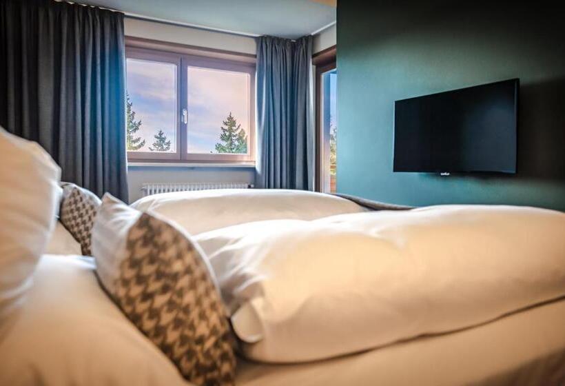 小型套房带阳台, Josef Mountain Resort