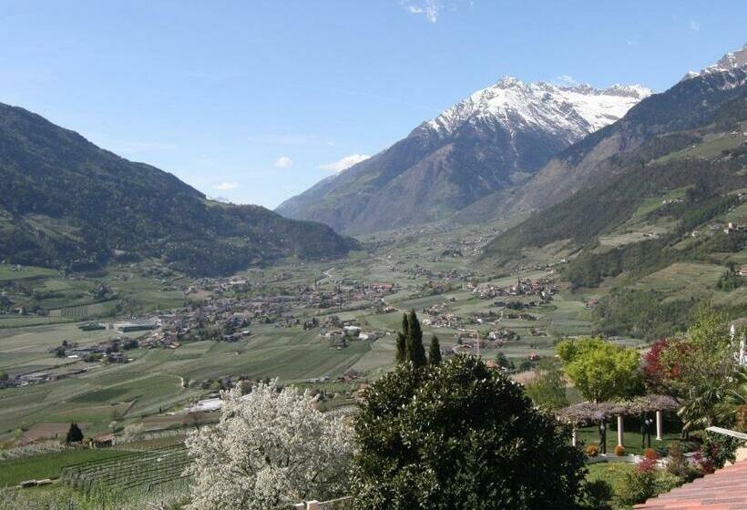 Номер Стандарт Вид на Горы, Krause