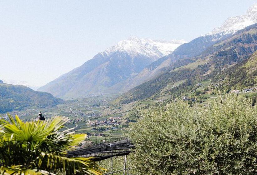 バルコニー付きスタンダードルーム, Paradies