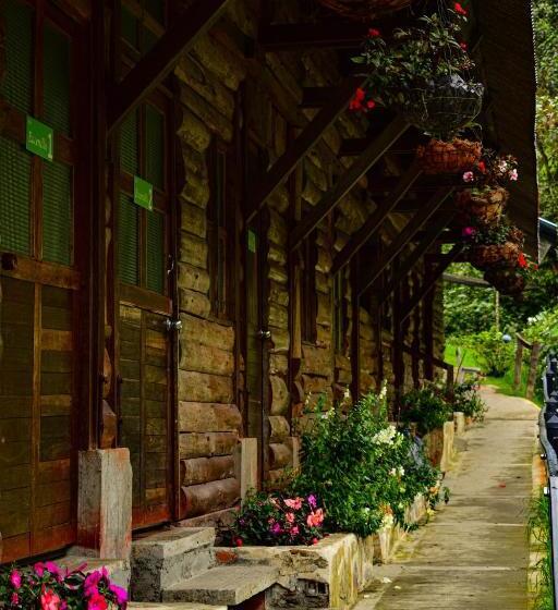 4인용 스탠다드 룸, Termales San Vicente