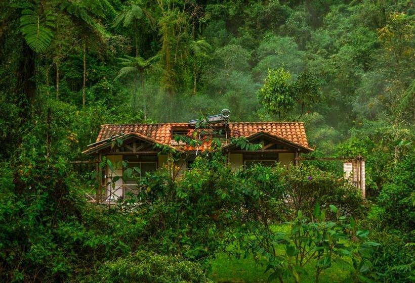 스탠다드 방갈로, Termales San Vicente