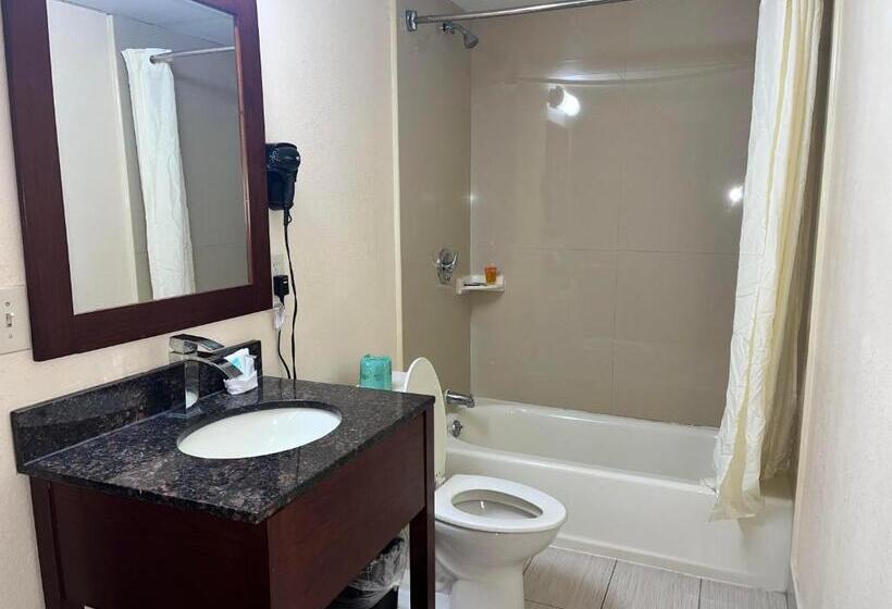 디럭스 스위트 킹 침대, Circle Motor Lodge