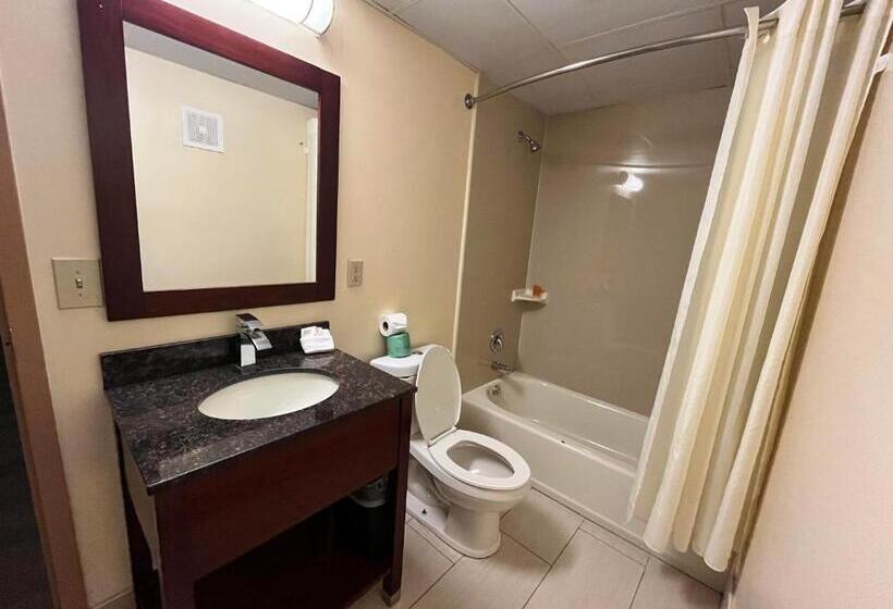 디럭스 스위트 킹 침대, Circle Motor Lodge
