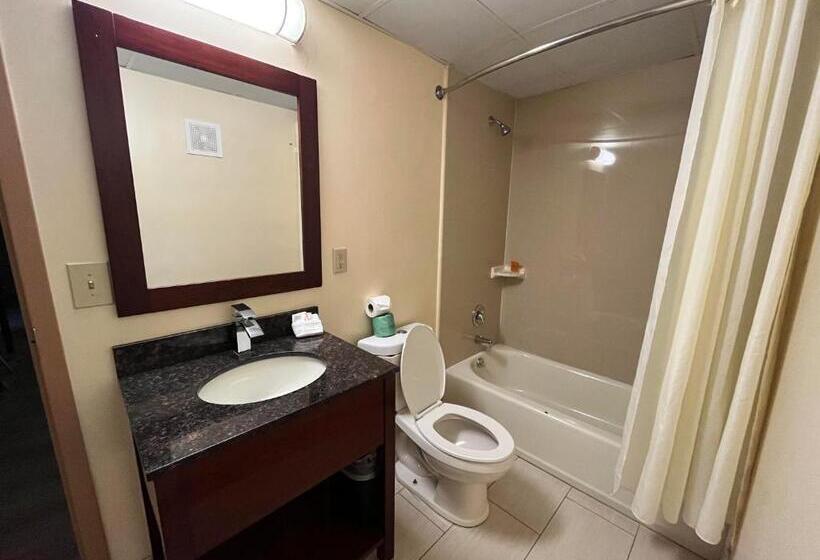 디럭스 스위트, Circle Motor Lodge