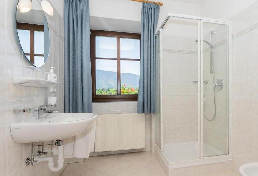 Апартаменты 1 Спальня с Балконом, Appartements Eppanerhof