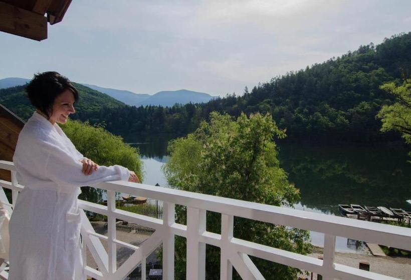 غرفة قياسية مطلّة علي البحيرة, Seehotel Sparer