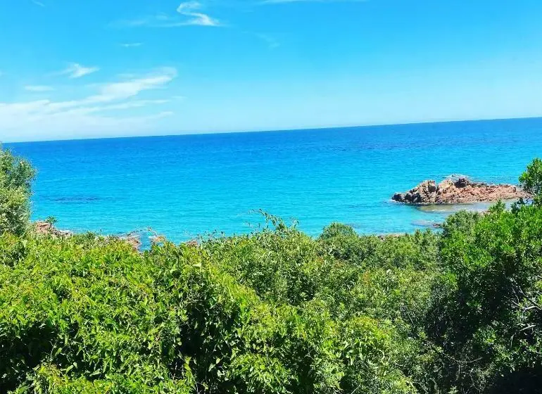 スタンダードルーム, Donna Violante Porto Corallo Affittacamere