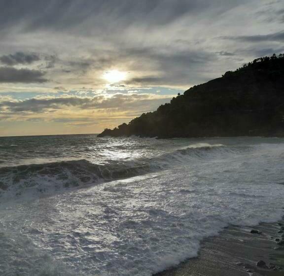 חדר סטנדרט, Fabienne