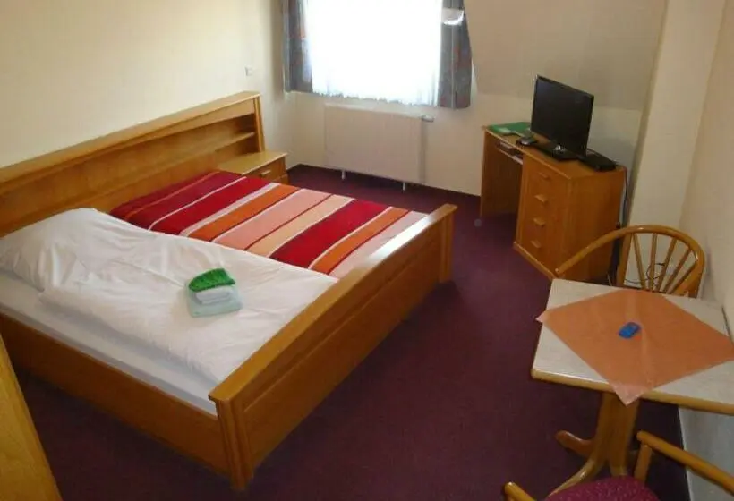 Habitación Estàndard Individual, Goldener Löwe Triebes