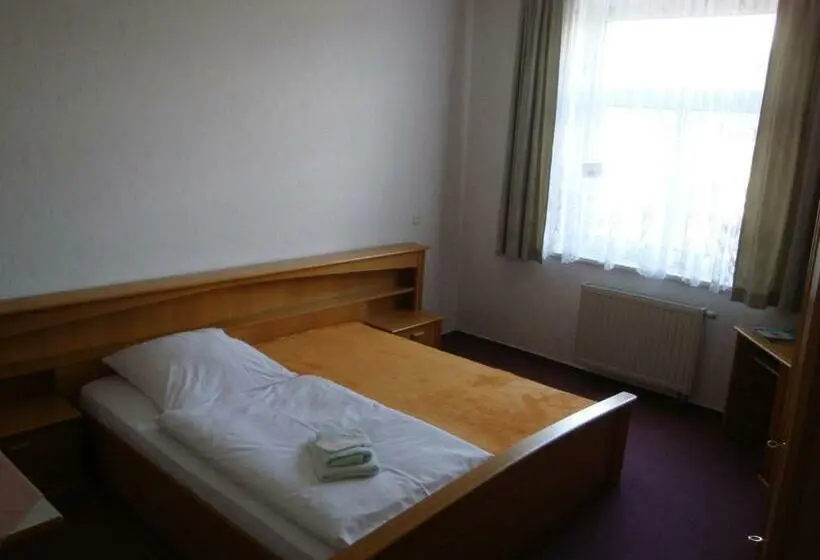 Habitación Estàndard Individual, Goldener Löwe Triebes