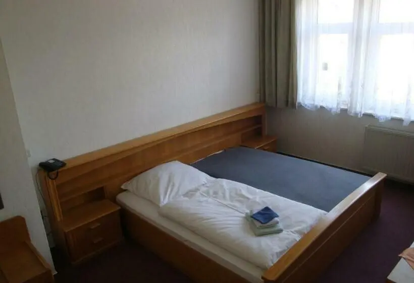 Habitación Estàndard Individual, Goldener Löwe Triebes