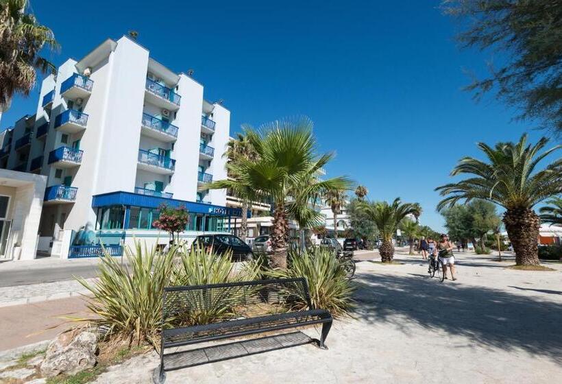 싱글 기본룸, Haiti