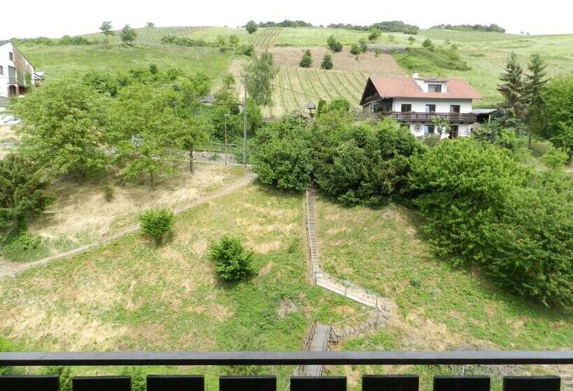 标准间带阳台, Weingut Stassen