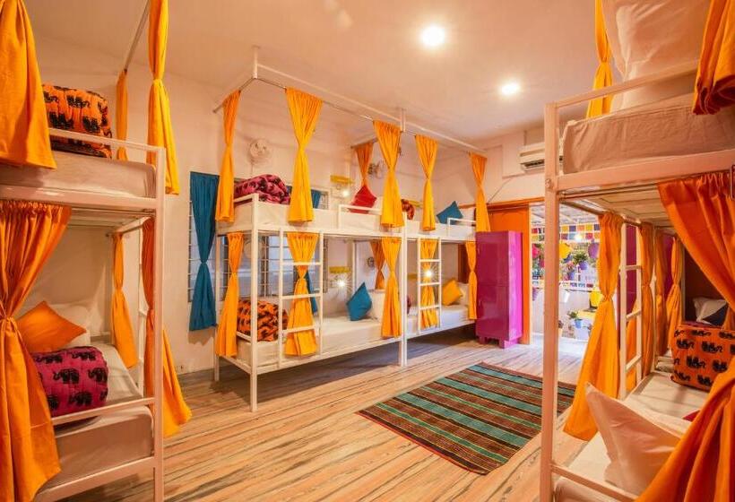 Bed in Shared Room, Gostops Jaipur