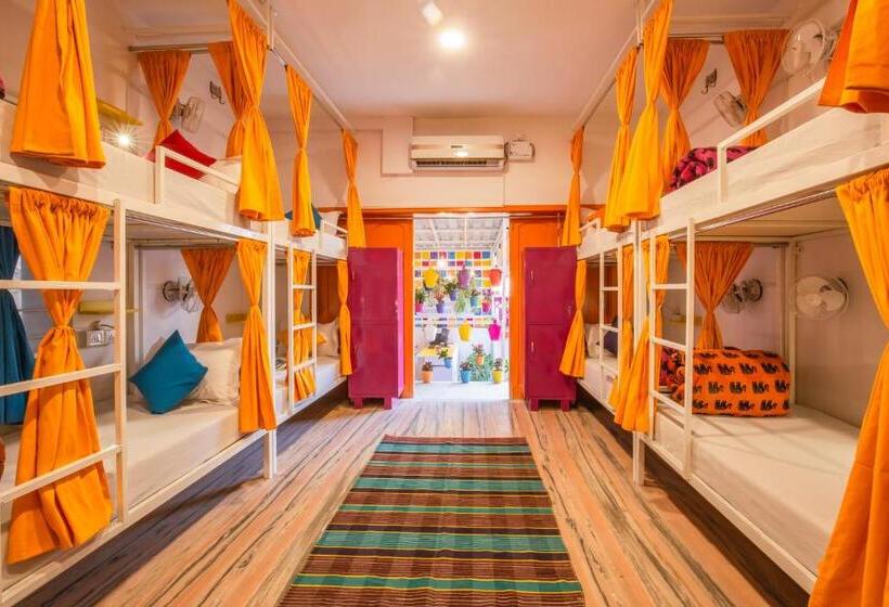 Bed in Shared Room, Gostops Jaipur