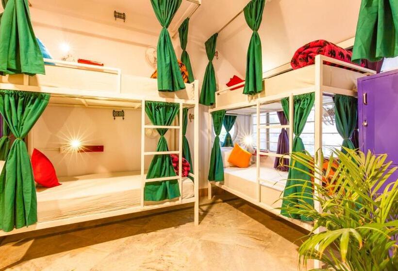 Bed in Shared Room, Gostops Jaipur