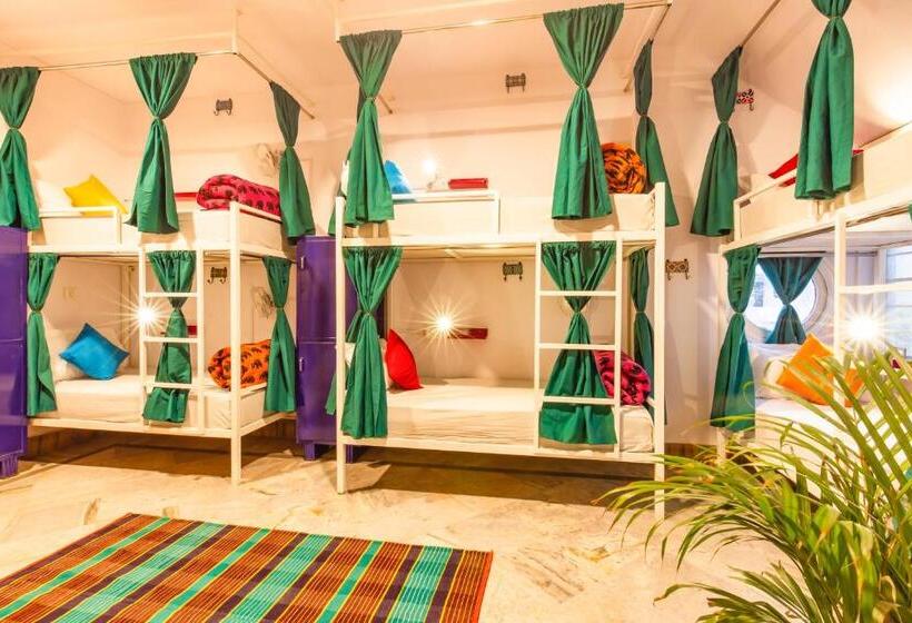 Bed in Shared Room, Gostops Jaipur